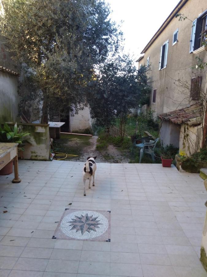 Casa Vacanza Zia Ersilia Rotondi Экстерьер фото